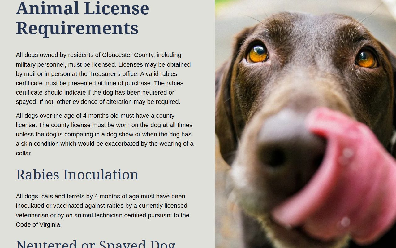 Gloucester County busted mugshots circuit court